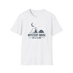Mystery Noise at 2 A.M.