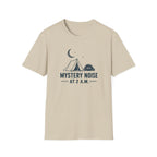 Mystery Noise at 2 A.M.